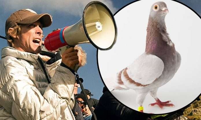 Michael Bay denunciato dalle autorità italiane per aver ucciso un piccione sul set di 6 Underground