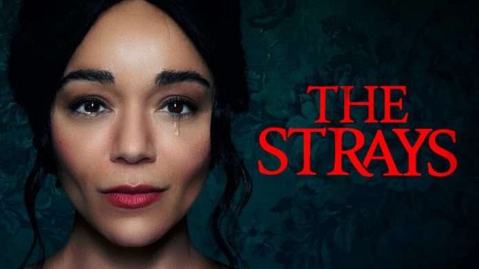 The Strays 2: il film avrà un sequel su Netflix?
