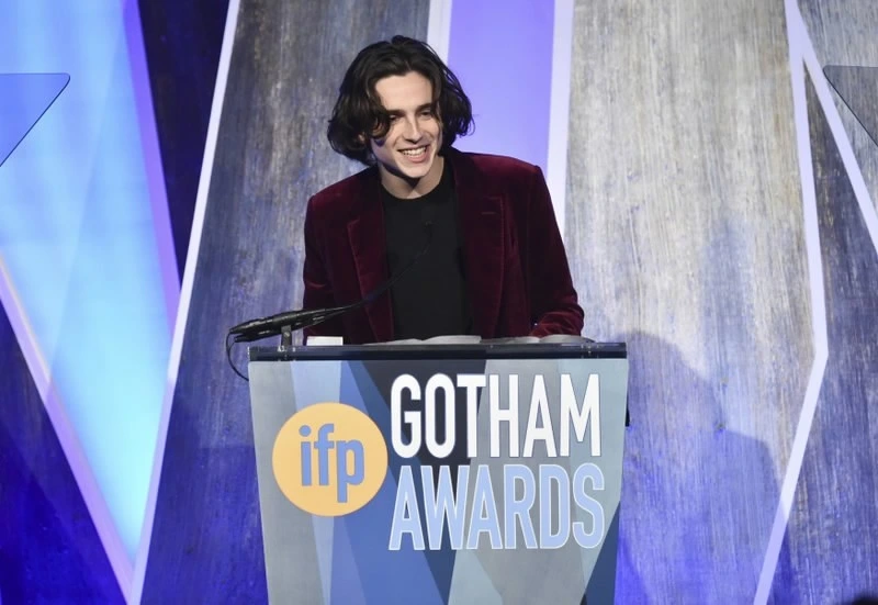 Timothée Chalamet Premiato ai Gotham Awards per "Chiamami col tuo Nome" (2017)